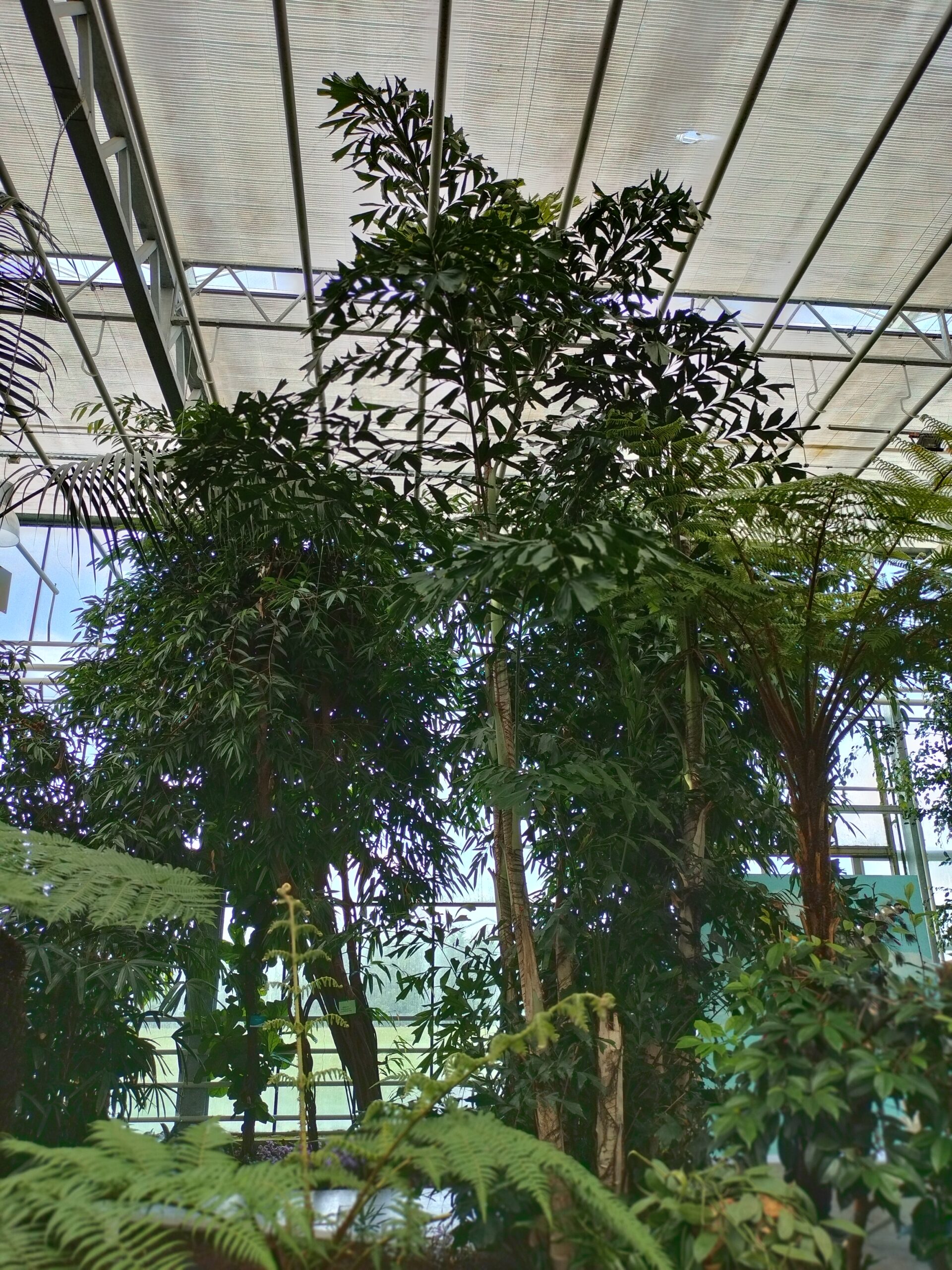 IMG20230421163603